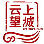 云上望城软件官方版
