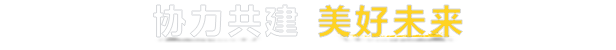 灾后修复师