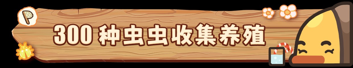 虫虫生态箱