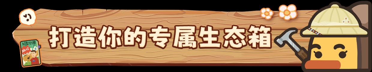 虫虫生态箱
