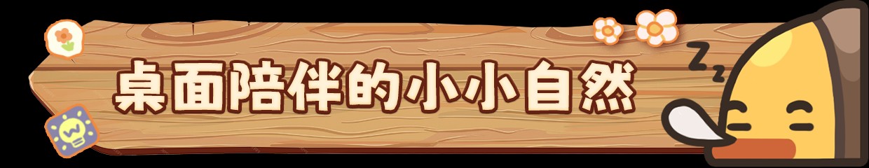 虫虫生态箱