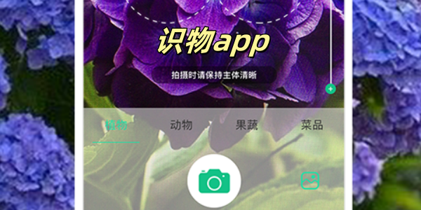 识物app有哪些-识物app哪个好用-免费拍照识物软件大全