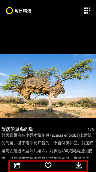 每日精选