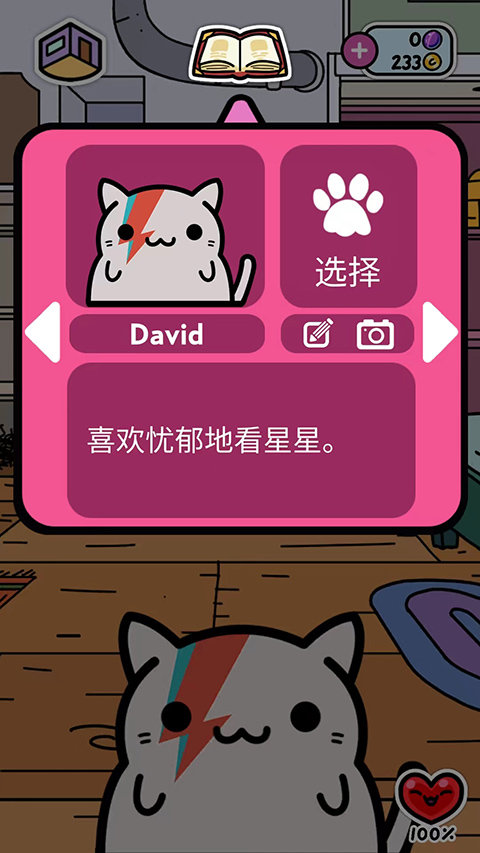 小偷猫