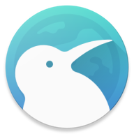 Kiwi Browser浏览器app下载-Kiwi Browser浏览器官方版