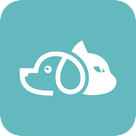 Pet Zero官方正版下载-Pet Zero最新版