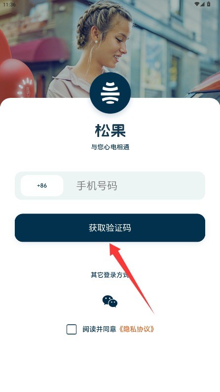 松果能源