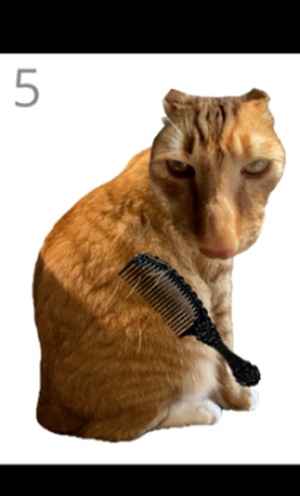 Brush jjaemu