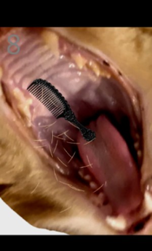 Brush jjaemu