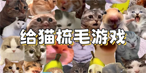 给猫梳毛游戏
