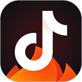 抖音火山版app